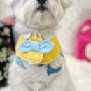 옐레드 문래역점 이미지