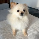 에이치씨푸드