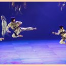 대호 영빈태권도 이미지