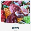 삼산동참치 찐맛집, 몽참치 다녀온 솔직 후기