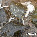 선고낚시터 이미지