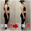 다인핏 네이버블로그