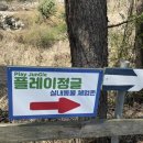 휘바핀란드위드플레이정글 이미지