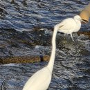 아동학대 신고의무자 교육 및 공공부문 종사자 아동학대예방교육(1시간) 이미지