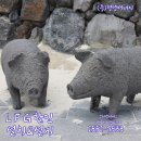 lpg 전문 가스마켓의 제주흑돼지 전문점 상담후기