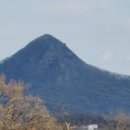 경기도 안성시 안성1동주민센터 이미지