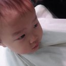 세라NC