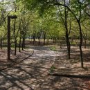 동빙고(근린공원) 이미지