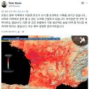역대 최악의 더위로 프랑스 지표면 섭씨 55도 달성.jpg 이미지