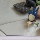 알루즈 이미지