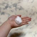 생리 전후, 배란기 필수템 사포렐 클렌징폼 이미지