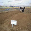 아란 농장 이미지