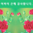 혈액형별 여자의 결혼생활| 이미지