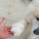 공 감 Daum카페