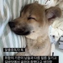 강변목덜미살
