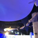 국립해양생물자원관 씨큐리움 이미지