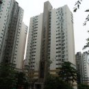 정관장 비산점