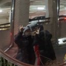 (주)메가바이어 | 안녕 2025년 두바이쫀득쿠키도 이제 안녕