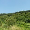 곡성-103 이미지