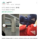 조치원세종복싱 | 세종복싱 시작은 복싱 마스터가 정답?