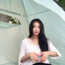 나른한 오후 도시락 이미지