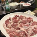 가야생오리 이미지