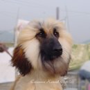 공주마마