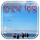 신사천성 | 7월 말 부산여행 다섯 - 바오 패밀리가 있던 광안리해수욕장