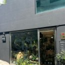 초량지구대 | (부산/초량동)부산카페 플랜트플레이스부산 PPB 내돈내산 리뷰