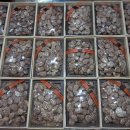 장용농장 이미지