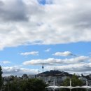 여주-0913 이미지