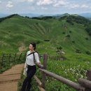 6월 민둥산 날씨 | 증산초교 출발 코스 후기 | 거북이 쉼터, 산골향기