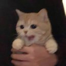 남원주실내골프연습장 이미지