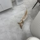 윤잇네일