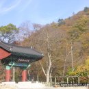 기림사 - 918 | 기림사