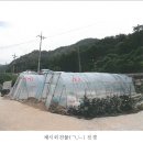 한반도면-9 이미지