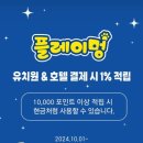 플레이멍 광주애견유치원&애견호텔 이미지