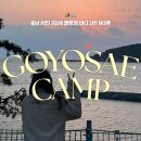 충남 서천 고요새캠핑장🏕️ 바다 2번 사이트 후기 | 프로포즈 받은 날💐💛