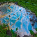 신 황룡 이미지