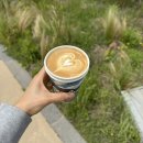 책방마고 | 비행인 척 여행하기 | JEJU, 제주 동쪽 여행 。카멜커피, 책방마고, 파앤이스트, 산토 etc
