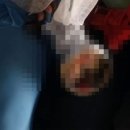 전원정육점