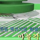 마늘각시 이미지