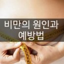 복부비만 종류 복부비만 원인 이미지