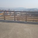 연제구-031 이미지