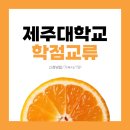 [제주대 학점교류] 신청방법/기숙사/꿀팁 총정리!