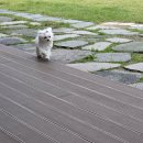 놀다가개유치원 이미지