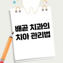 서울스타치과의원 이미지