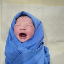 분당운중-D-5 | 출산D-day, 분당제일여성병원 제왕절개 출산기록, 일일조리원, 일일조리원 장단점