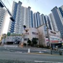 신재초교 이미지