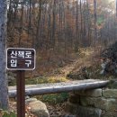 하늘숲야영장 이미지